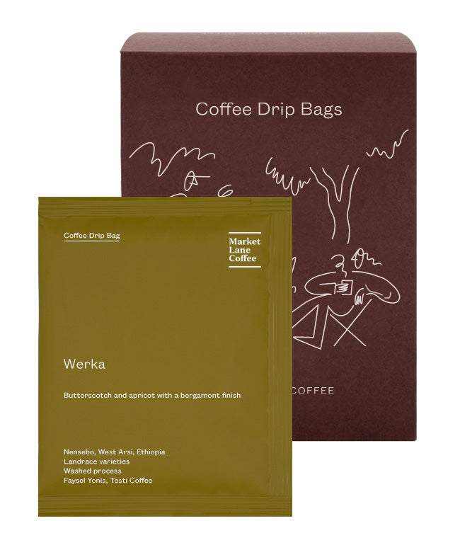 Ethiopia Werka Drip Bags — image 1