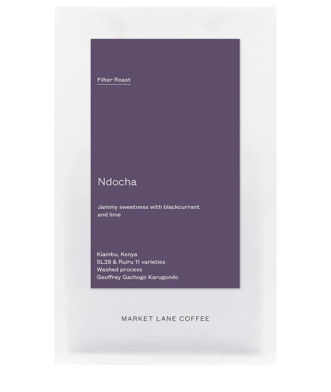 Kenya Ndocha Filter